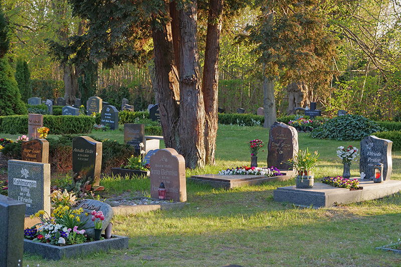 Friedhof Zingst